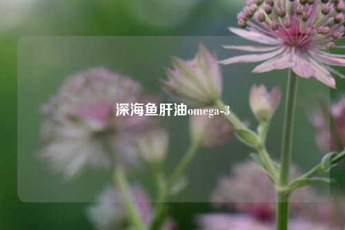 深海鱼肝油omega-3