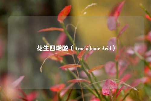 花生四烯酸（Arachidonic Acid）